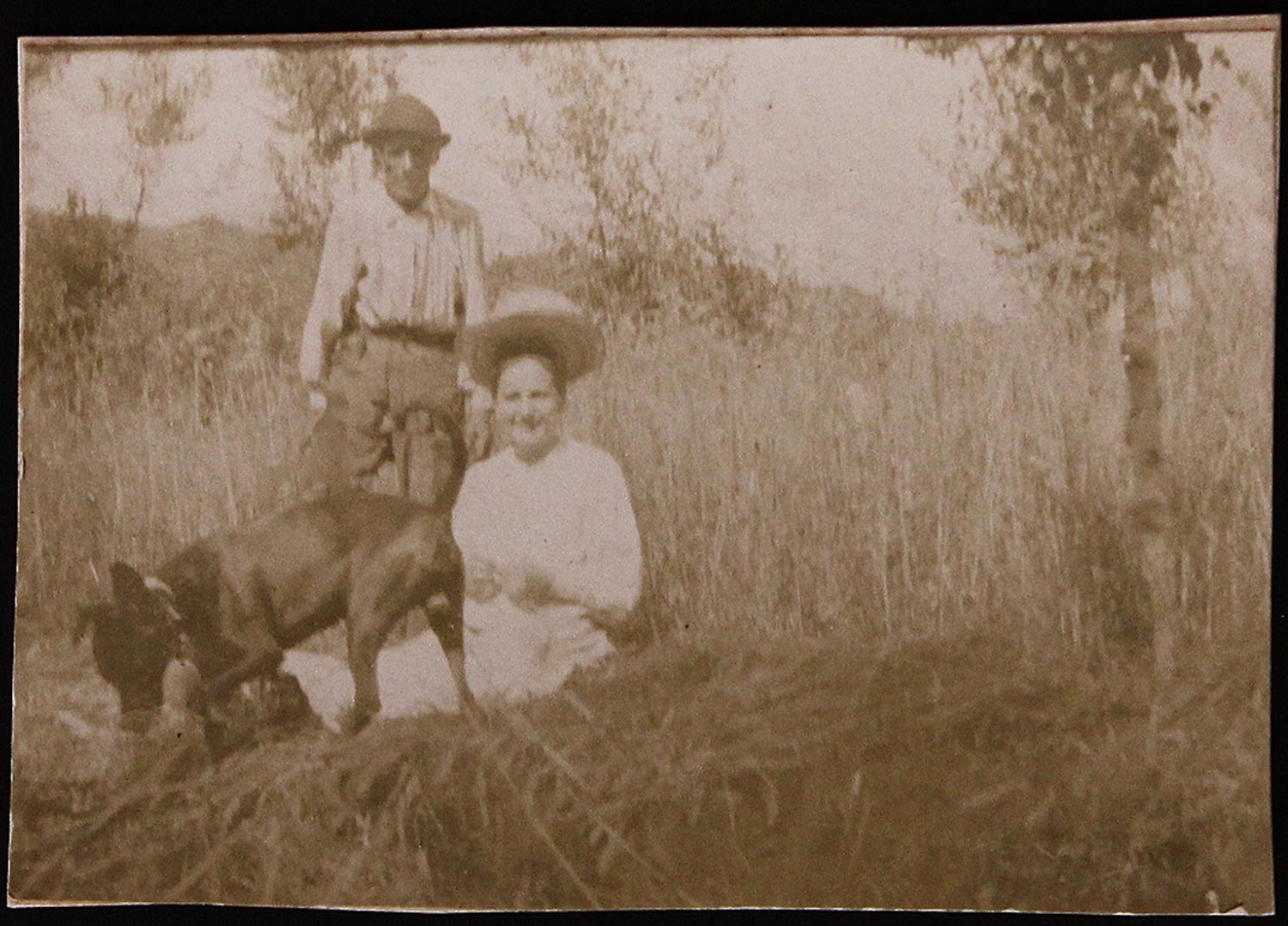 Prefazione primi poemetti